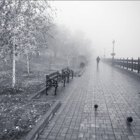 А в городе туман... :: viktor minchenko