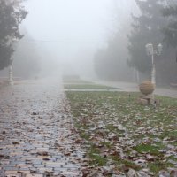 Туманная осень :: Мария Пилипенко
