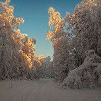 Зимняя сказка :: vladimir Bormotov