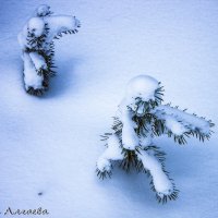 Соревнования снежных человечков :: Марина Алгаева