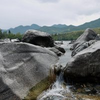 Каменный берег Катуни :: Sergey Miroshnichenko