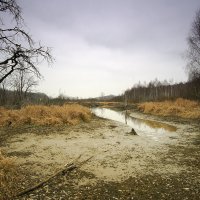 пейзаж :: Владимир 