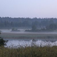 Туман :: Нелли Денисова