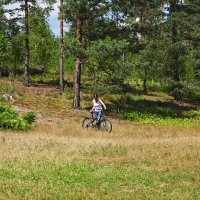 Велосипедистка :: Наталья 