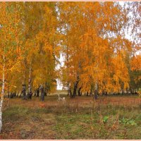 Золотая осень :: Геннадий Ячменев