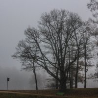В тумане :: Алёнка Шапран