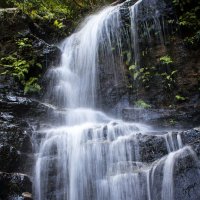 Водопады в "Голубых горах" :: Дмитрий Горлов