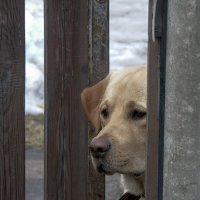 *** :: Евгений Барзенков