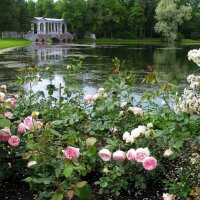 Розы в Екатерининском парке. :: ТАТЬЯНА (tatik)