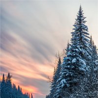 Зимний пейзаж :: Сергей Винтовкин