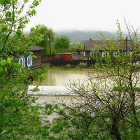 Весна, наводнение. :: Николай Елисеев