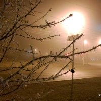 В тумане :: Владимир Филиппов