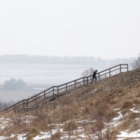 Поленово. Январь 2014 :: dbayrak Дмитрий Байрак