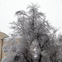 зима :: Дмитрий Потапкин