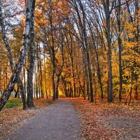 Золотая осень в парке. :: Горбушина Нина 