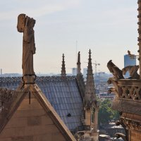 Notre Dame de Paris (2) :: Elena *