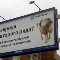 Социальная реклама. :: Сергей Тупало
