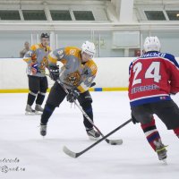 любители хоккей :: Светлана 