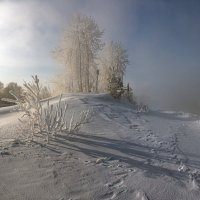 тени на снегу :: Дамир Белоколенко