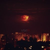 moon :: Yevgeniya Bush 
