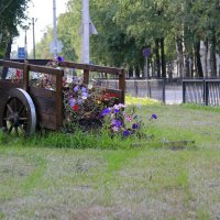 Клумба. :: Александр Кемпанен