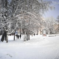 Хочется уже много-много снега! :: Irene Freud