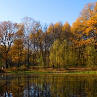 Осенний парк :: Зайцева-Карих Татьяна 