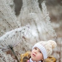 С первым днем зимы! :: Анна Димант