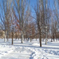 Зима в моём городе... :: Сергей Петров