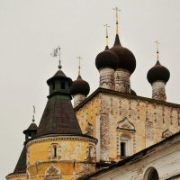 У стен монастыря :: Дмитрий Близнюченко