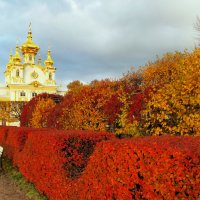 Осенний Петергоф :: Людмила Тамкун