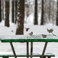 настолье... :: Олег Петрушов