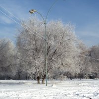 Зима в городе... :: Сергей Петров