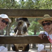 Funny Camel and tourists :: Николай Воробьёв 