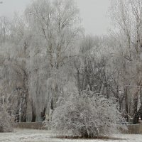 Зима... :: Сергій Панченко