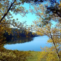 Озеро :: оксана савина
