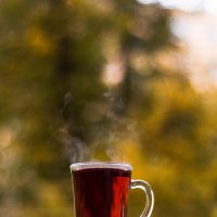 Осенний чай с корицей :: Натали Лисси