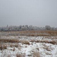 Зима :: Виктория Власова