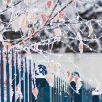 Зима :: Nana Petrova