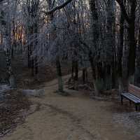 Дорога к источнику :: Юрий Морозов