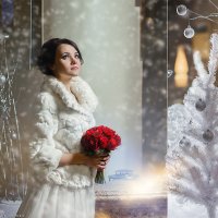 Зимняя свадьба :: Алексей Камнев