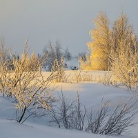Мороз и первые лучи :: Василий Хорошев