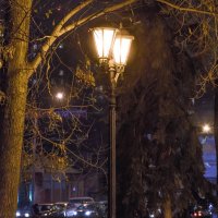 ночь, улица, фонарь.. :: Наталья М