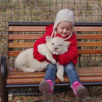 Катюша и белый львёнок. :: Ирина Нафаня