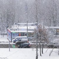 Снегопад :: Елена Palenavi