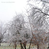 Ледяная осень :: Инна Lenk