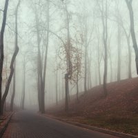 прогулка в тумане :: александр макаренко