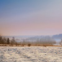 Зимняя, вечерняя с туманом... :: Александр Никитинский