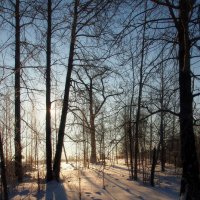 С первыми лучами зимнего солнца :: Николай Сапегин