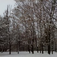 Зима :: Павел Михалёв